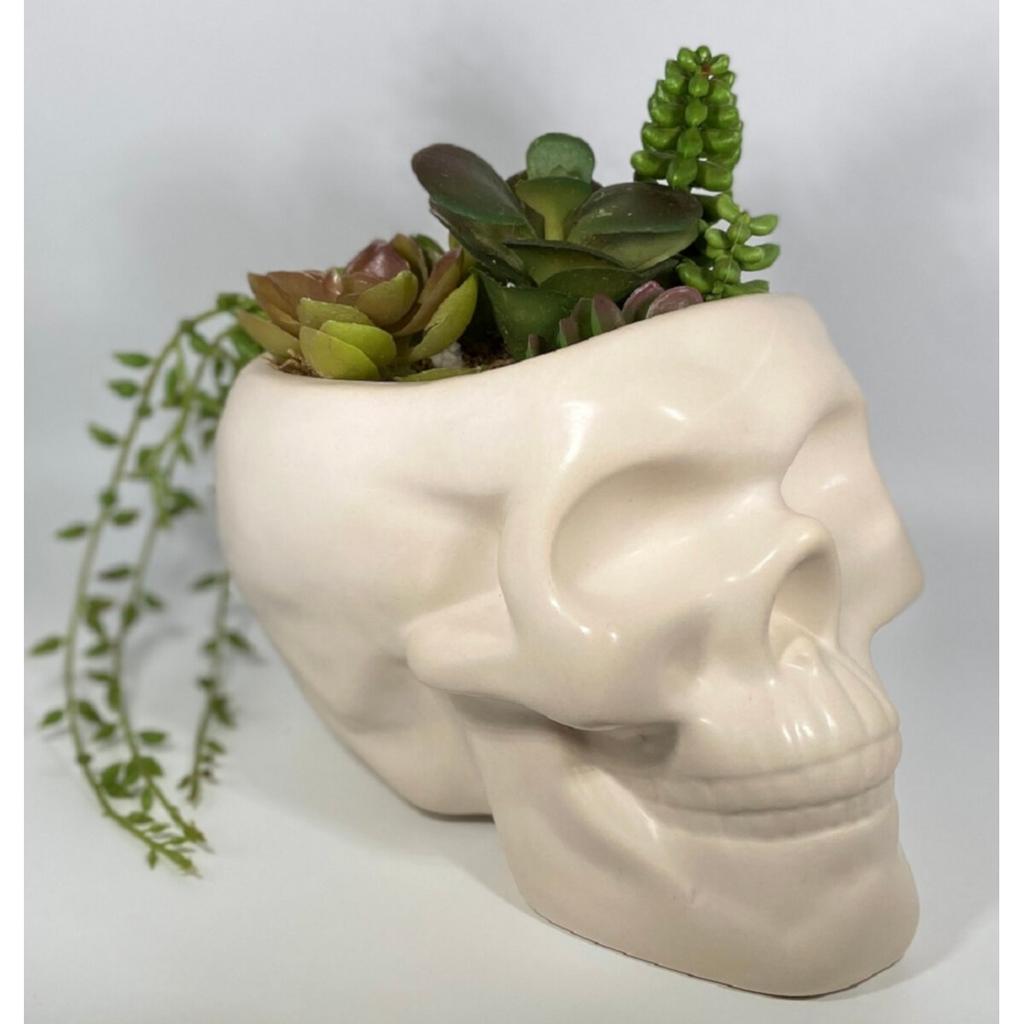 Planter Bone Skull Second Alternate Image  width="825" height="699"